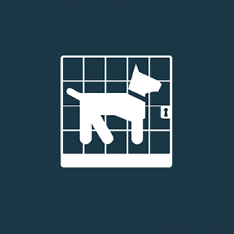 picto_transports_animaux_compagnie