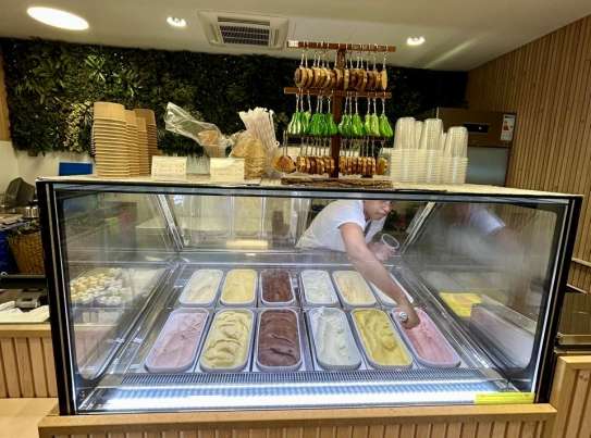 VITE FRAIS BIEN FRAIS Steff Glacier